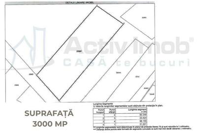 Teren Intravilan langa Dunare! Disponibil la 15 Euro mp - 9