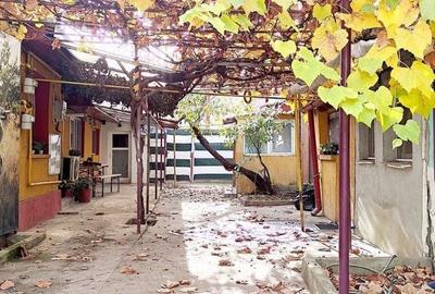 Casă cu 3 camere cu Teren 83 Mp în Tei - 2