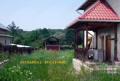 Casă cu 4 camere cu Teren 2385 Mp în Făgețelu - 3
