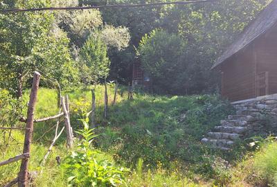 VANZARE ANSAMBLU CASUTE BRADULET ARGES - 18