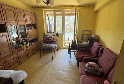 Apartament cu 2 camere decomandat în Șuncuiș - 4