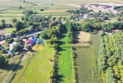 TEREN intravilan 6764 mp DRAGOMIRESTI - VAD - 5