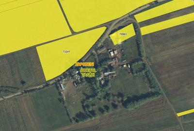 Teren de 9000 mp, în Zăpodeni - 1