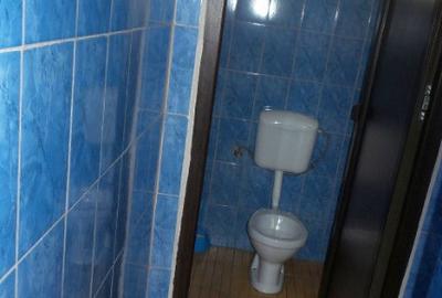 Spatiu Comercial (Botarlau drum Expres Focsani - Braila) - 9