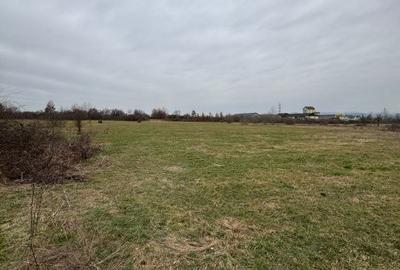 Teren de 7200 mp, în Recea