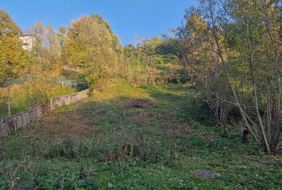 Teren de 839 mp, în Valea Doftanei - 3