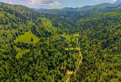 Teren extravilan de 14400 mp, în Cheile Râșnoavei - 4