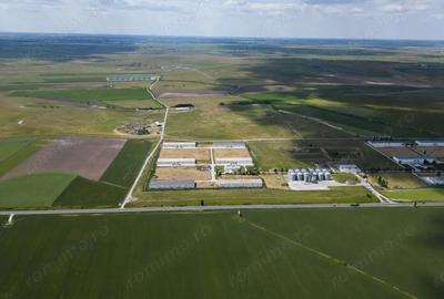 Teren Intravilan Investi?ii 11.600 mp Salonta - 5