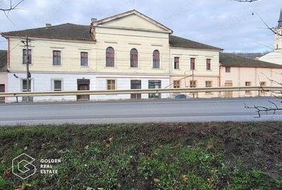 Proprietate tip conac, teren 4468 mp, oras Lipova - 2