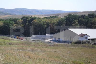 Spațiu comercial, de 3,000 mp, în Dej - 17