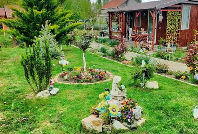 Casă în Central - 1