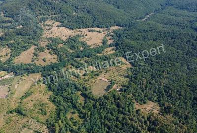 Teren de vanzare in comuna Baicule?ti, sat Valea lui Enache, jude? Arge?. - 3