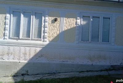 Casă cu 4 camere cu Teren 4000 Mp în Central - 2