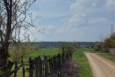 Teren intravilan 3109mp - 3