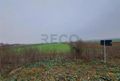 Teren de 5712 mp, în Chiribiș - 5