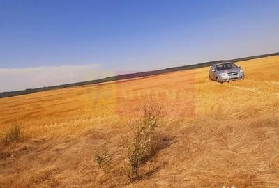 Teren de 2000 mp, în Brănești