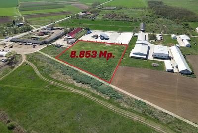 Teren de 8853 mp, în Sălard