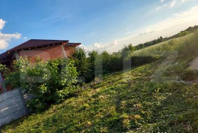 Casă cu 2 camere cu Teren 2860 Mp în Botiz - 3