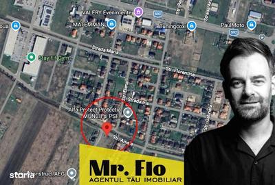 Spațiu comercial, în Moșnița Nouă - 2