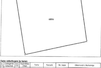 Teren extravilan padure, cota parte de 1/48 Horgesti, ID:... - 1
