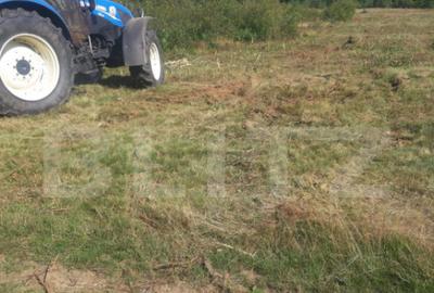 Teren extravilan 3300 mp, Car?i?oara- Set - 13