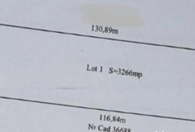 Teren de 3266 mp, în Ișalnița - 1