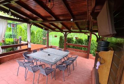 Vila zona Ultracentrala - 11