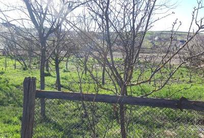 Casă cu 4 camere cu Teren 3400 Mp în Central - 3