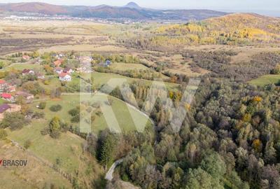 Vanzare teren intravilan 37723 mp Zarnesti Tohanita - 3