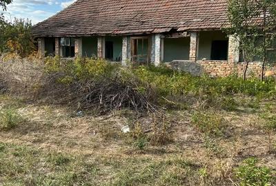 Casă cu 4 camere cu Teren 1480 Mp în Hodoni - 2