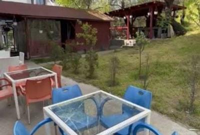 Apartament cu 4 camere decomandat în Brazda lui Novac - 3