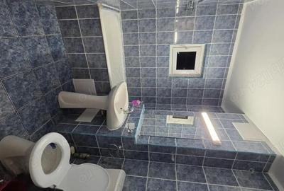 Apartament cu 3 camere decomandat în Grigorescu - 5