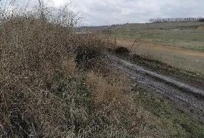 Teren extravilan Tiganasi, cota parte 1/5, ID: R2822453 - 2