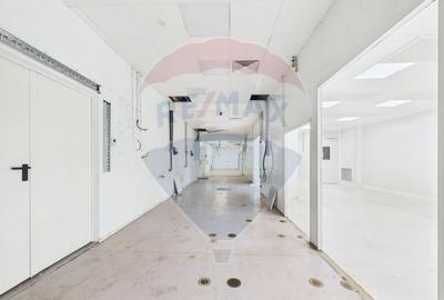 Spatiu multifunctional de birouri si productie langa Kaufland Vitan Spatiu multifunctional de birouri si productie langa Kaufland Vitan - 15