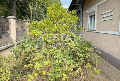 Casa Lipovei, pozitie excelenta - 7