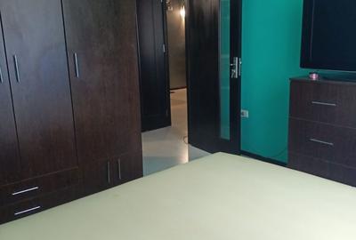 Apartament cu 2 camere, mobilat în City Park Mall - 8