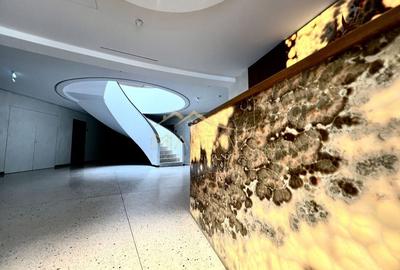 Apartament de Inchiriat | Iancu Nicolae | 154 mp | Terasa 150 mp | - 12