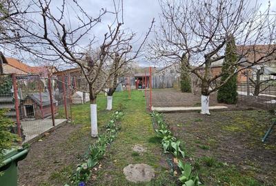 Casă individuală cu 5 camere cu Canalizare în Lazaret - 21