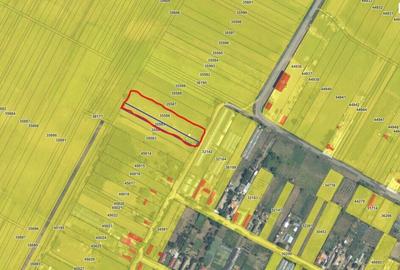 Terenuri libere intravilane, 1.400 mp + 3.000 mp (4.400 mp). - 1