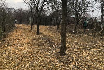 Vanzare  Teren  intravilan  Pipera Vanzare  Teren  intravilan  Pipera - 3