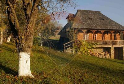 Vanzare ansamblu de 5 casute traditionale Maramures/ Botiza - 1