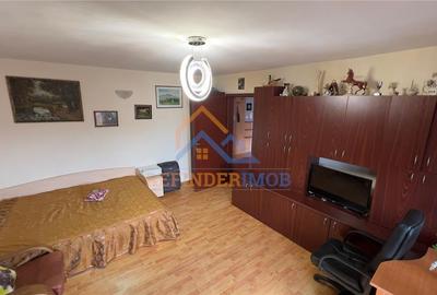 Apartament 2 camere de vanzare Rahova - Dunavat - 22