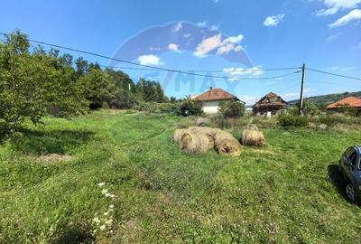Casa cu teren generos de 62 ari - Berinta, Maramures - 6