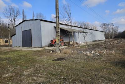 Vanzare amplasament industrial-servicii Tatarasti, Teleorman - 10
