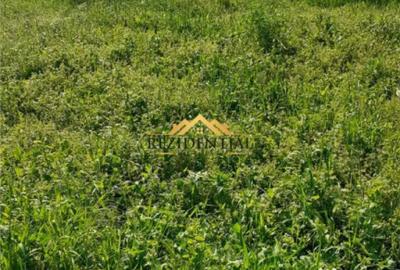 Teren de 1924 mp, în Central - 2