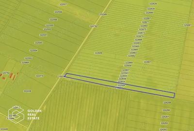 Teren agricol, 14 630 mp, Vladimirescu, ZERO COMISION Teren agricol, 14 630 mp, Vladimirescu, ZERO COMISION - 2