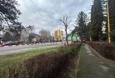 Apartament cu 4 camere semidecomandat, mobilat în Astra - 16