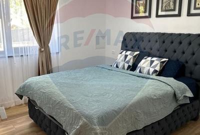 Vila de lux de vanzare in Ipotesti-Suceava - 22