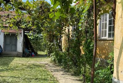 Casa de vanzare in Vadu Crisului - 2