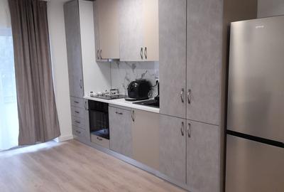 Apartament 2 camere de inchiriat zona Porii - 4